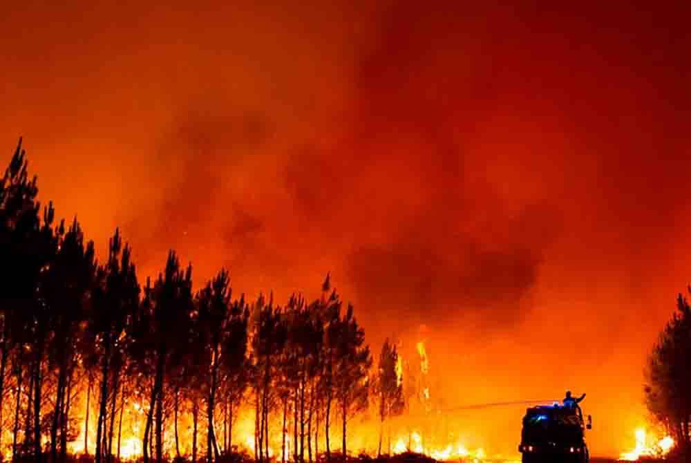 Sekurang-kurangnya 10 orang terbunuh dalam kebakaran hutan di tengah dan selatan Chile - Foto: AP