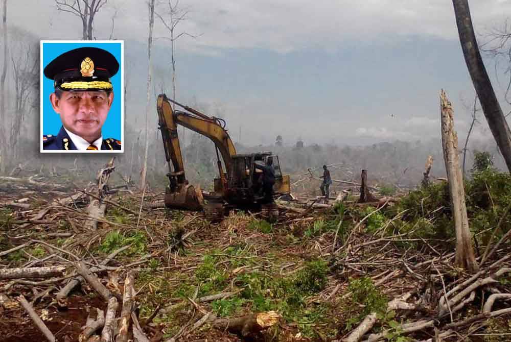 Hutan simpan di Kuala Langat antara lokasi hotspot kebakaran tanah gambut berskala besar. Gambar kecil: Wan Md Razali