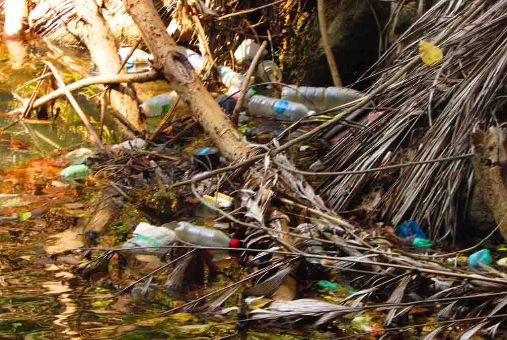 Sampah sarap dan botol minuman terapung di dalam kolam air terjun menyebabkan air di Air Terjun Bayan Lepas kotor.