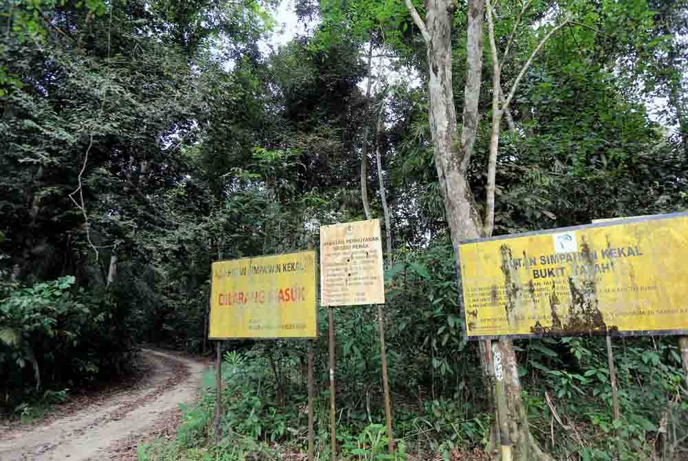 Kawasan lelaki etnik Rohingya berusia lingkungan 20-an dalam keadaan lemah, berkaki ayam dan kelaparan yang dijumpai oleh Penyelia ladang Mohd Firdaus Salim, 39, pada kira-kira pukul 8.40 malam tadi di Ladang Felcra Sungai Gempel. Foto Bernama