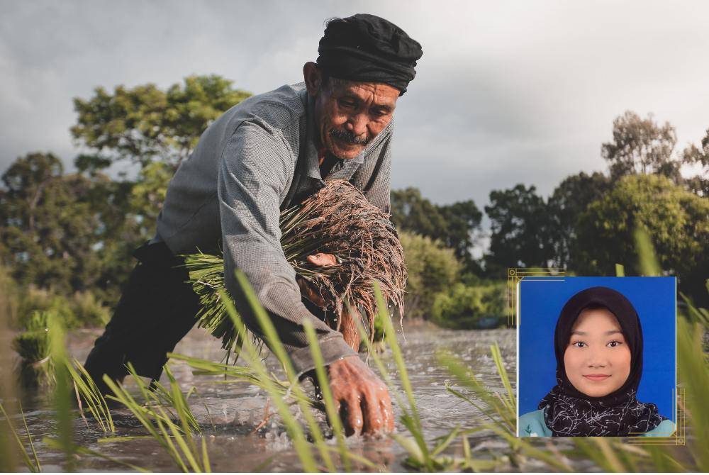 RAMAI petani beranggapan tidak perlu menunaikan zakat kerana hidup serba kekurangan namun jika cukup syarat, mereka wajib melaksanakannya. - Gambar hiasan/Gambar kecil: Fatin Nurshazrina Ahmad Zamri