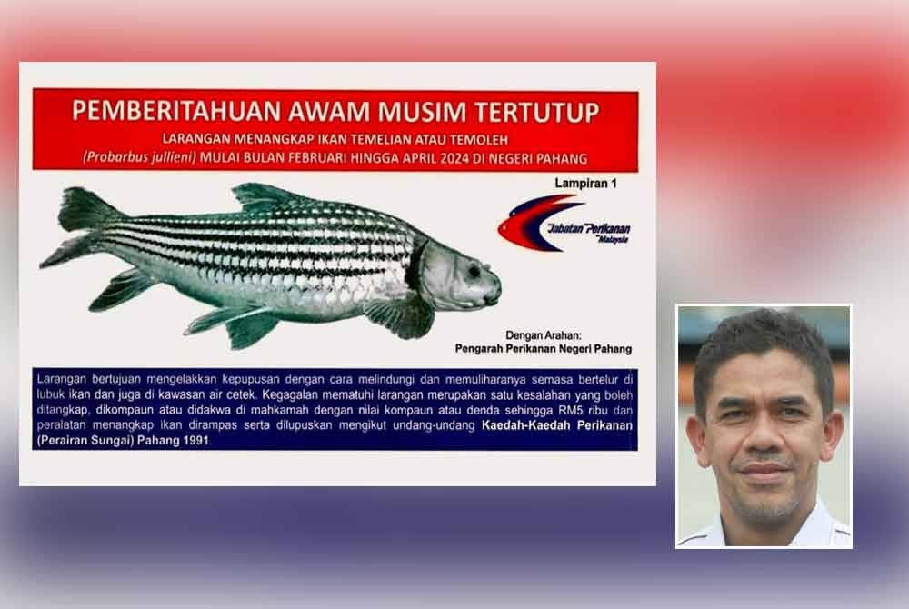 Hebahan larangan tangkapan ikan temelian dilakukan awal bulan ini. (Foto Jabatan Perikanan Pahang). Gambar kecil: Abdullah