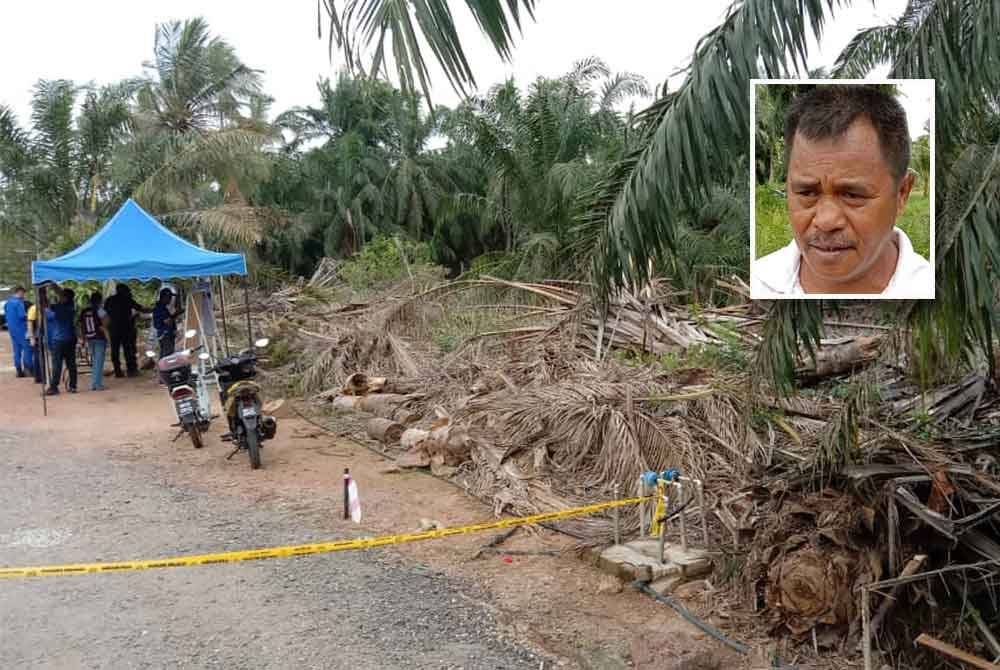 Lokasi pesawat ringan terhempas di kawasan kebun kelapa sawit di Kampung Tok Muda, Kapar. (Gambar kecil: Mustakim)