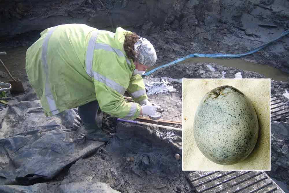 Sebuah bakul anyaman yang ditemui mengandungi roti dan juga telur - Foto: Oxford Archaeology