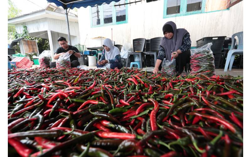 LPP telah membuktikan peranannya dalam meningkatkan taraf hidup dan ekonomi masyarakat petani. 