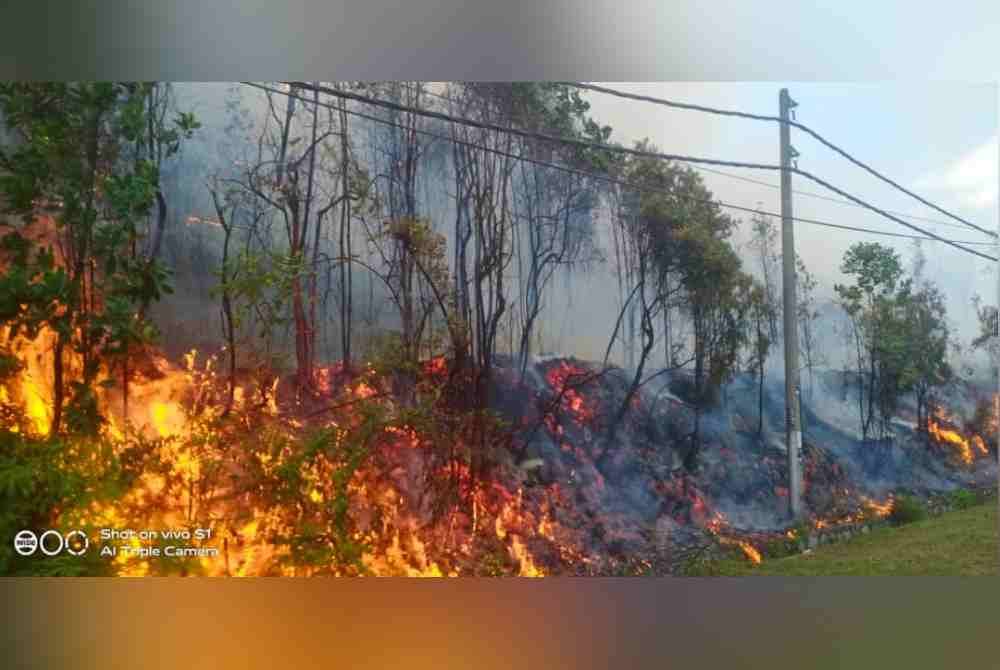 Hutan belukar seluas 0.4 hektar terbakar dalam kejadian di Kuala Kubu Bharu, pada Jumaat. Foto Ihsan JBPM Selangor