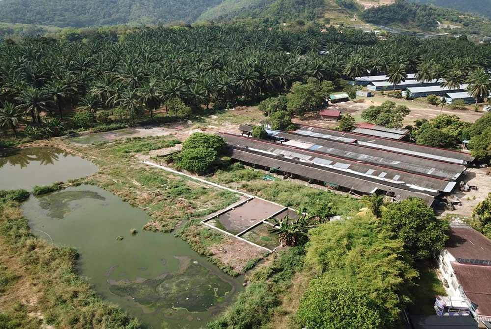 JAS Kedah siasat kejadian pencemaran di hulu Sungai Kulim yang dipercayai berpunca daripada aktiviti penternakan khinzir di perkampungan Sungai Lembu, Seberang Perai Tengah, dekat Pulau Pinang.