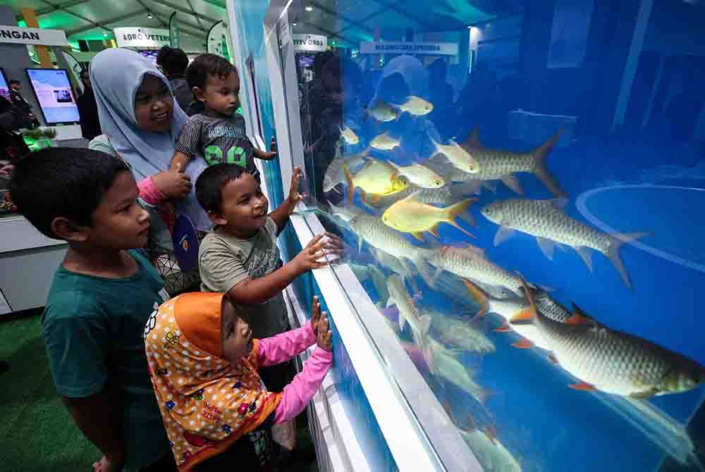 Jabatan Perikanan Malaysia mempamerkan spesies ikan kelah pada Program Madani Rakyat Zon Tengah di Kompleks Sukan Kuala Selangor pada Sabtu. Foto Bernama