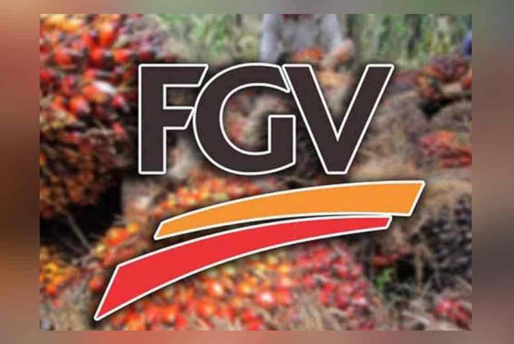 FGV mengisytiharkan dividen akhir tiga sen sesaham berbanding 11 sen setahun sebelumnya. - Gambar hiasan