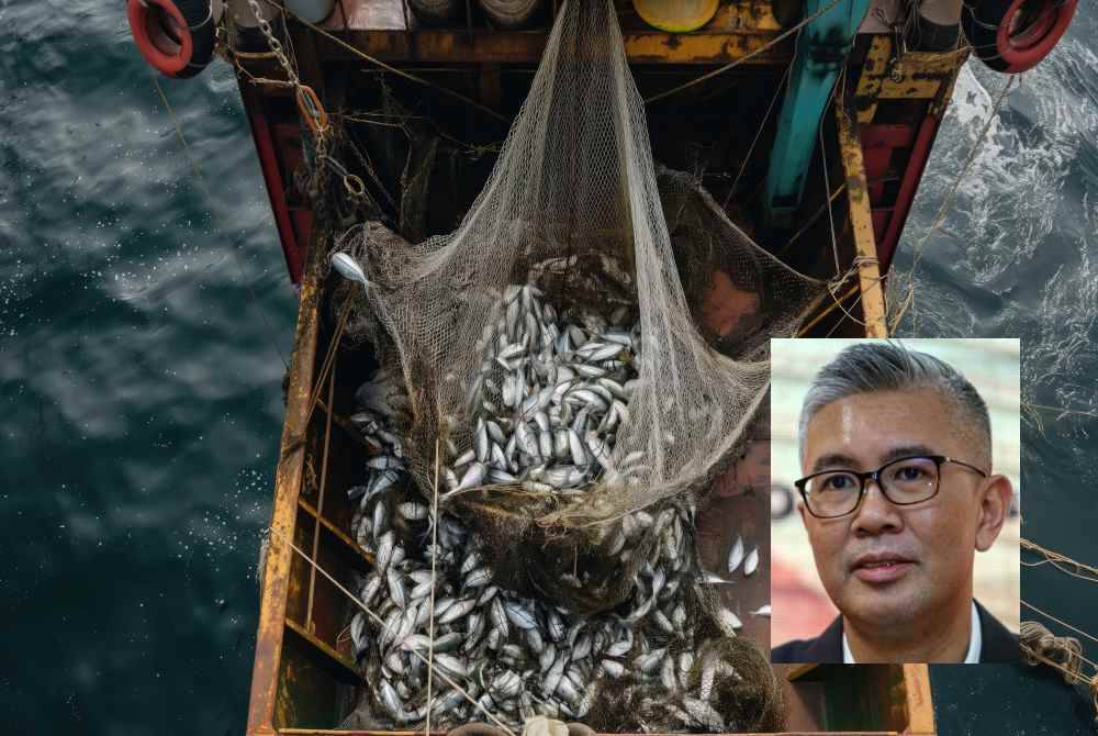 FSA menangani ancaman utama kepada lautan dan menggalakkan amalan penangkapan ikan yang mampan. - Gambar hiasan 123RF. Gambar kecil: Tengku Zafrul