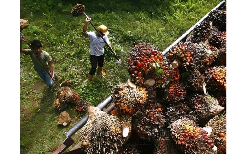 Sumber kitar semula mampu menampung kekurangan hasil aktiviti utama (minyak sawit). 