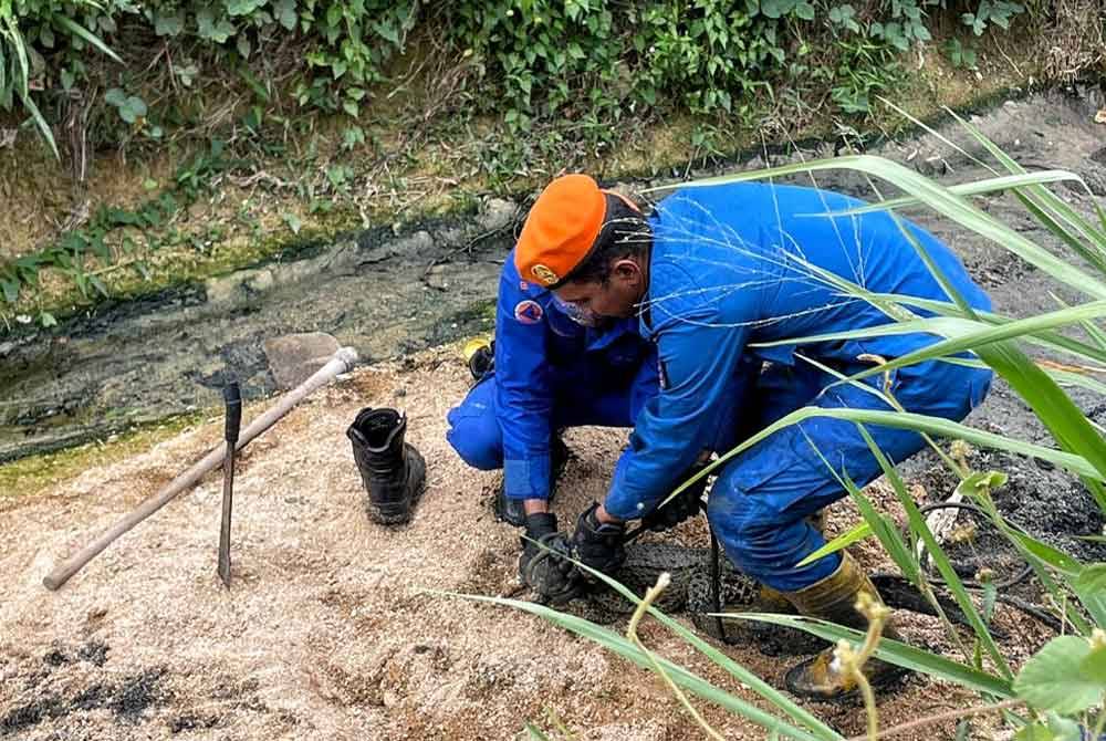 Anak buaya tembaga seberat 15 kilogram berjaya ditangkap.