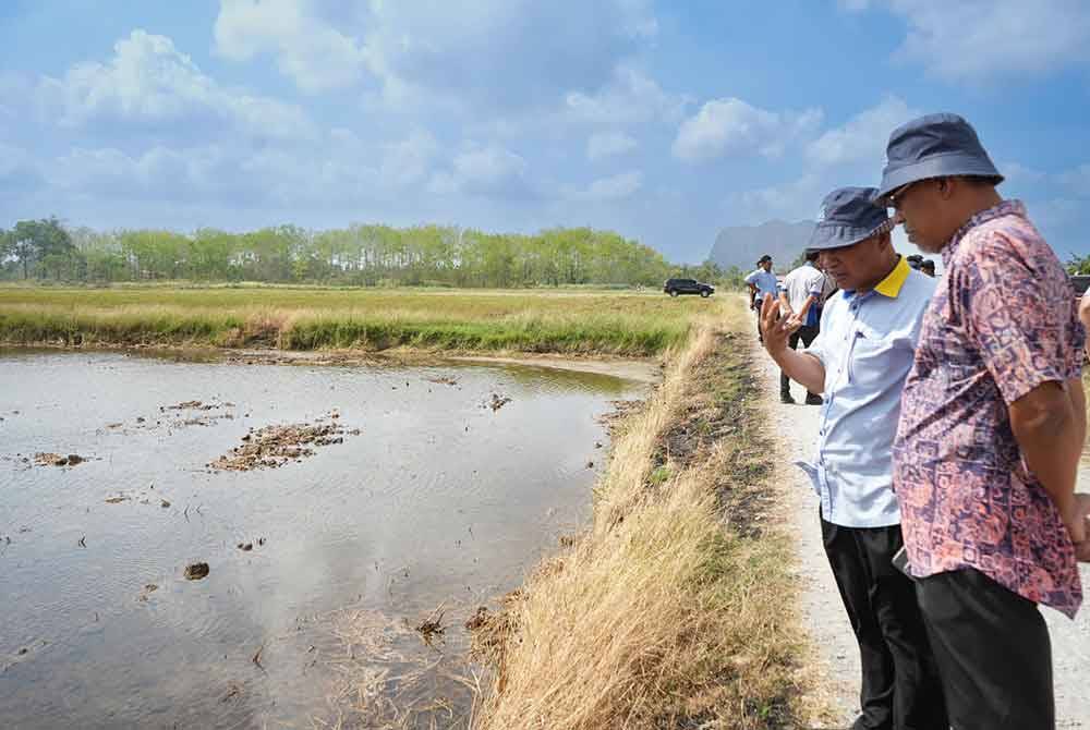 Ismail (kanan) semasa turun padang memantau kawasan pertanian MADA di Perlis pada Jumaat. Foto MADA