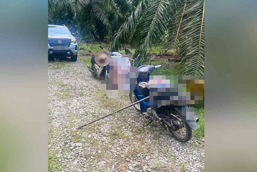 Mayat suami isteri dijumpai dalam kebun dengan kecederaan di kepala dan muka kesan dilibas dengan sabit sawit.