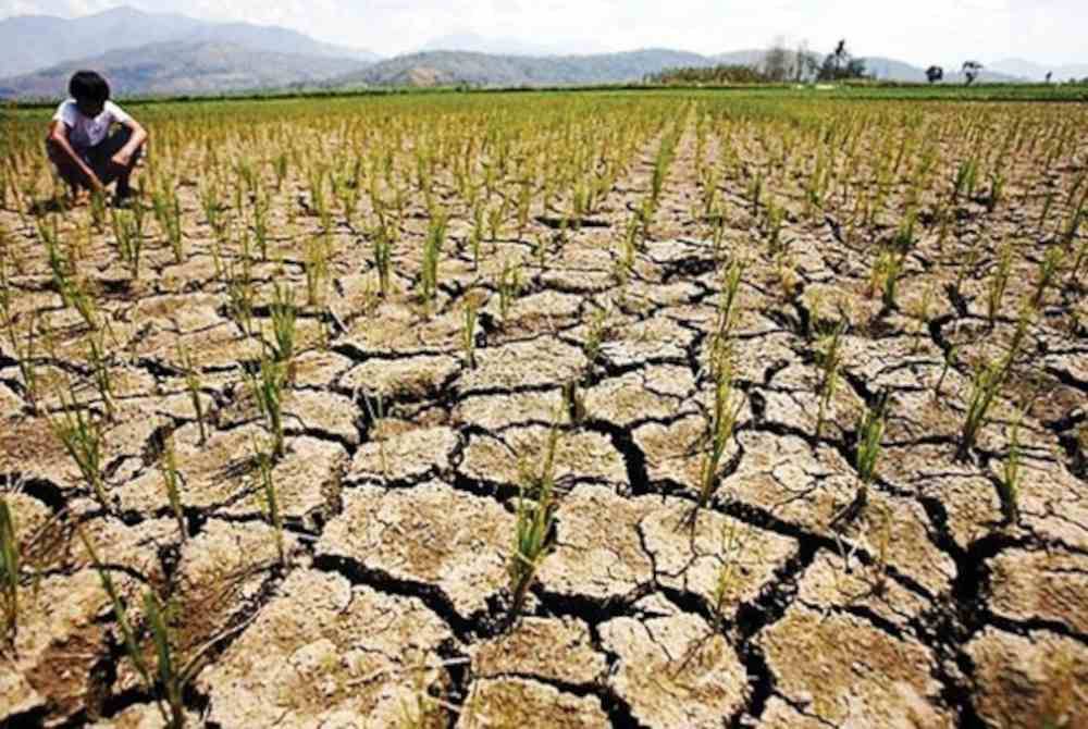 Kemarau berpanjangan yang melanda beberapa negara juga berpunca daripada fenomena El Nino. Foto Agensi