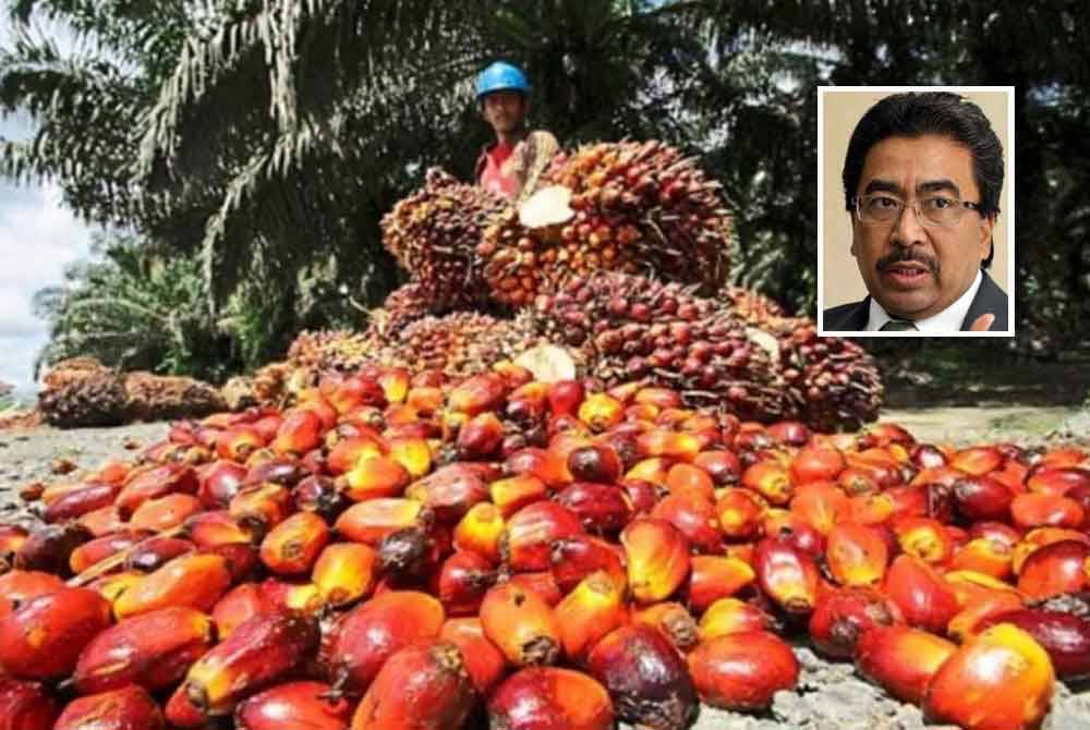 KPK akan bekerjasama dengan KPDN untuk mengambil tindakan tegas terhadap syarikat pengimport produk yang mendiskriminasi minyak sawit di negara ini. Gambar kecil: Johari