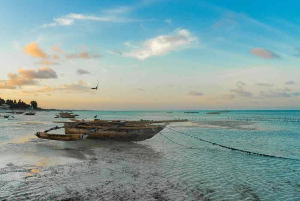 Pulau Pemba, Kepulauan Zanzibar. Foto Agensi