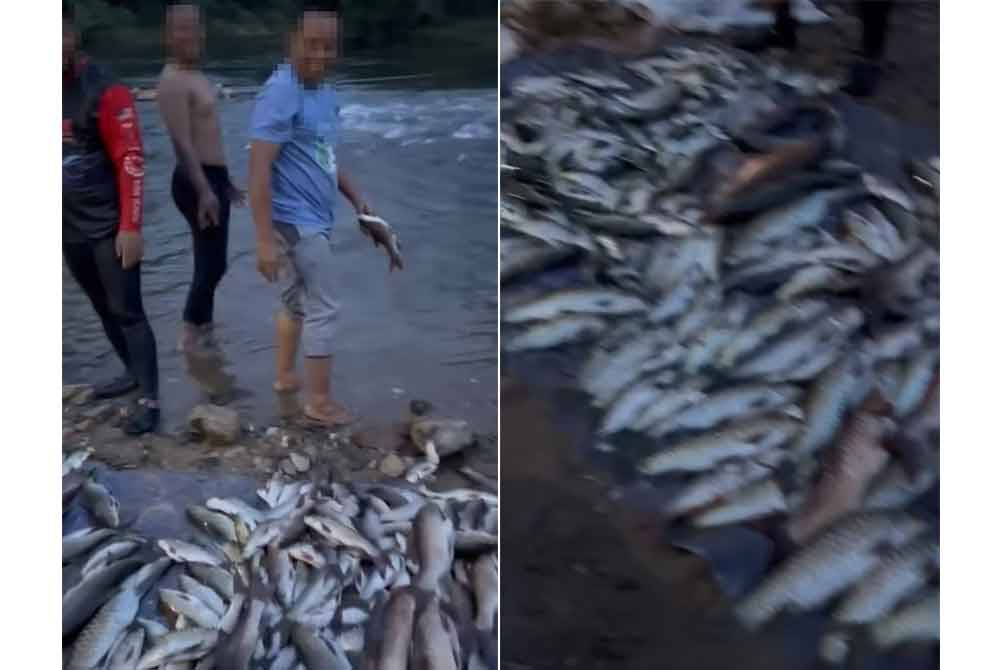 Tangkap layar video tular di media sosial mengenai aktiviti tangkapan ikan yang dikatakan mencurigakan