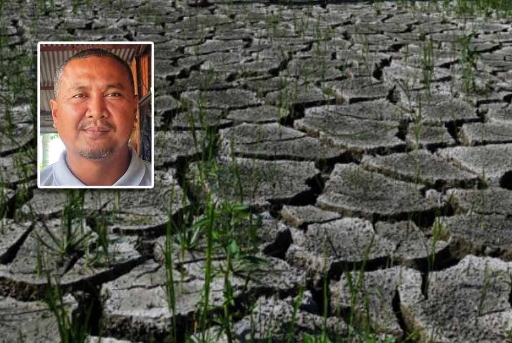 Kira-kira 50 pesawah di Perak, Negeri Sembilan dan Melaka berdepan masalah air di sawah berkurangan dan petak sawah menjadi kering akibat cuaca panas. (Gambar kecil: Abdul Rashid Yob)