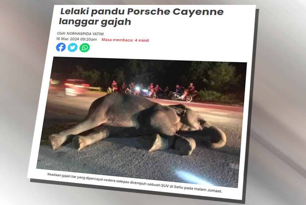 Sinar Harian pada Sabtu melaporkan, seekor gajah liar cedera setelah dirempuh sebuah kenderaan utiliti sukan (SUV) dalam kejadian di Kilometer 45, Kampung Kolam, Jalan Kuala Terengganu - Kampung Raja di sini pada Jumaat.