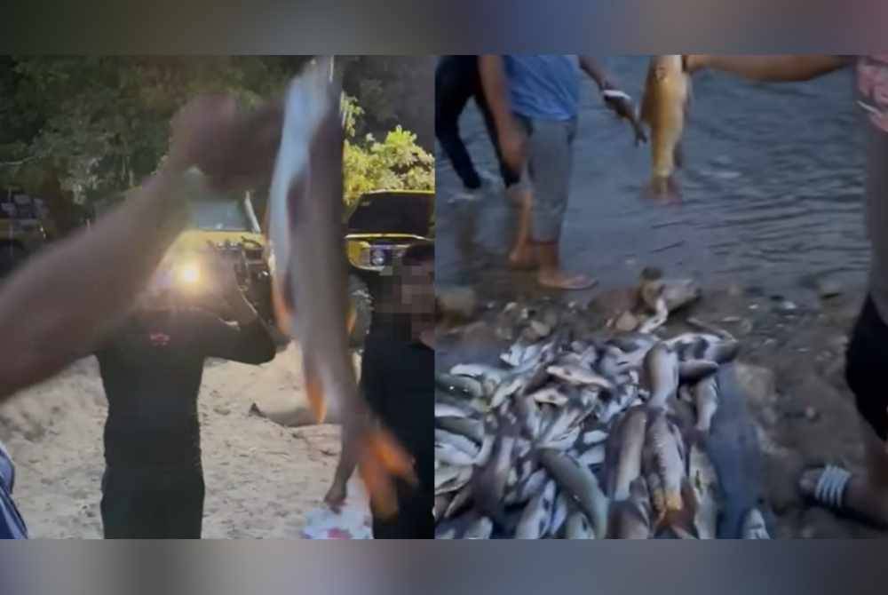 Sekumpulan lelaki dipercayai terbabit dalam kegiatan mengebom ikan apabila beberapa bangkai haiwan itu ditemui di sekitar kawasan sungai dalam hutan.