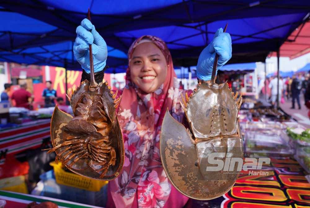 Ainol Adilah menjual sajian berasaskan belangkas. Foto Sinar Harian HALIM ABDUL WAHID