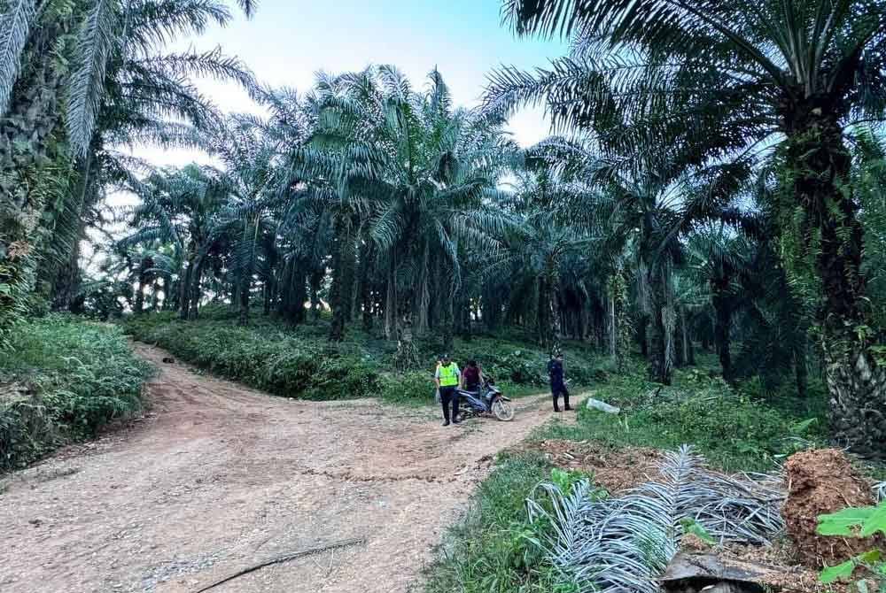 Kejadian pada jam 3 petang itu dikatakan berpunca daripada kegagalan menarik hand brake pada kenderaan tersebut.