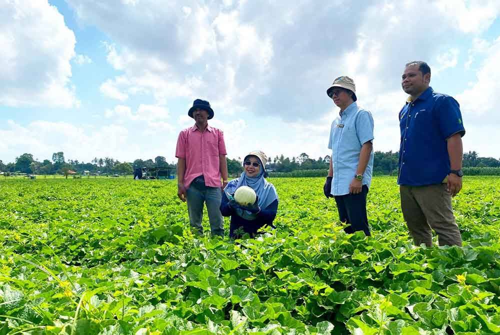 Wan Faizatul Aniza (dua dari kiri) menunjukkan hasil tanaman tembikai wangi yang diusahakan peserta Ladang Kontrak Projek Kampung Banggol, di Kota Bharu.