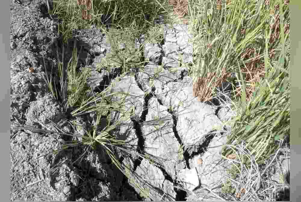 Tanah kering dan merekah berpunca dari cuaca panas melampau ekoran fenomena El-Nino di Kampung Gulau hari ini. Foto Bernama