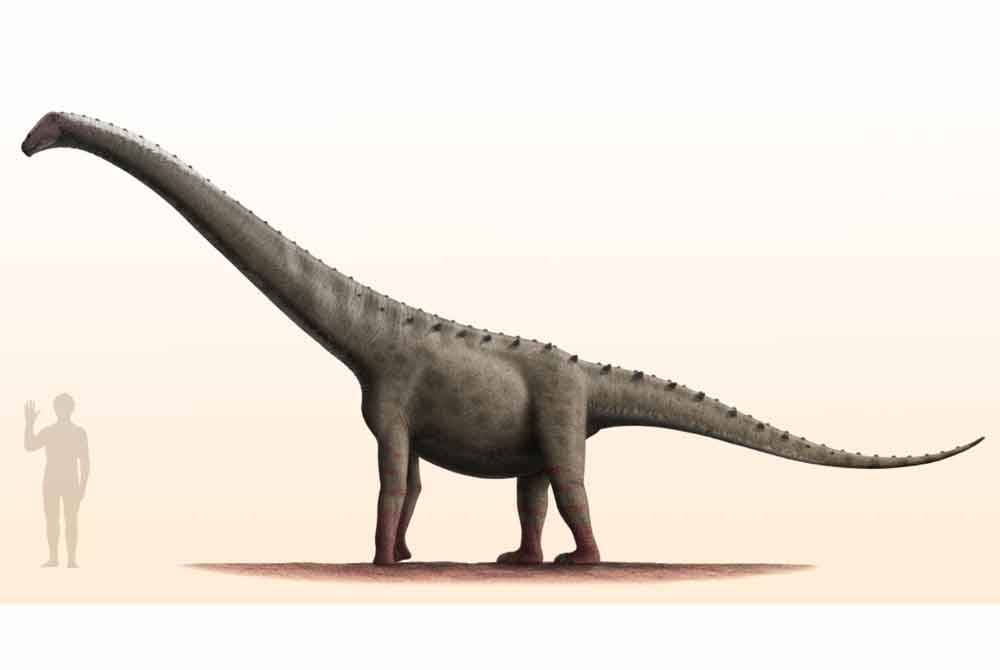 Titanosaur