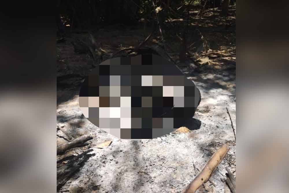 Mayat lelaki tanpa identiti ditemukan di kawasan kebun kelapa sawit di Bukit Karung, Semeling, pada pagi Jumaat. Foto ihsan pembaca