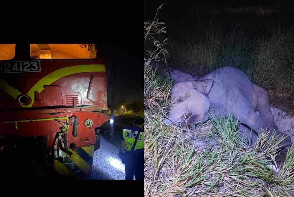 Keadaan kereta api yang mengalami kerosakan akibat melanggar seekor anak gajah di Kluang, pada malam Sabtu.