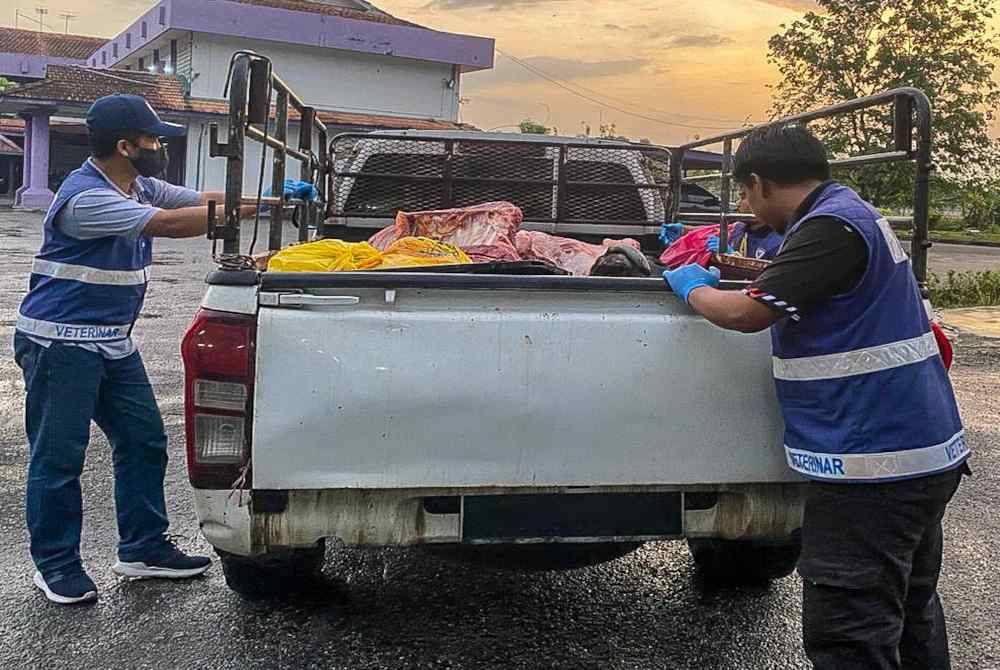 Pegawai JPV Pulau Pinang telah menahan sebuah pacuan empat roda kerana disyaki membawa karkas lembu yang disembelih di rumah penyembelihan tanpa lesen dalam operasi pagi Ahad.