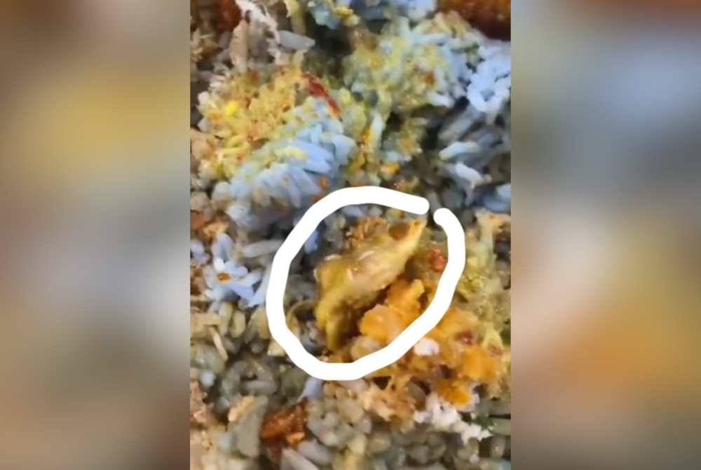 Ulat yang ditemui dalam nasi kerabu yang dikongsi seorang pelayar Facebook. Foto tangkap layar video tular di Facebook