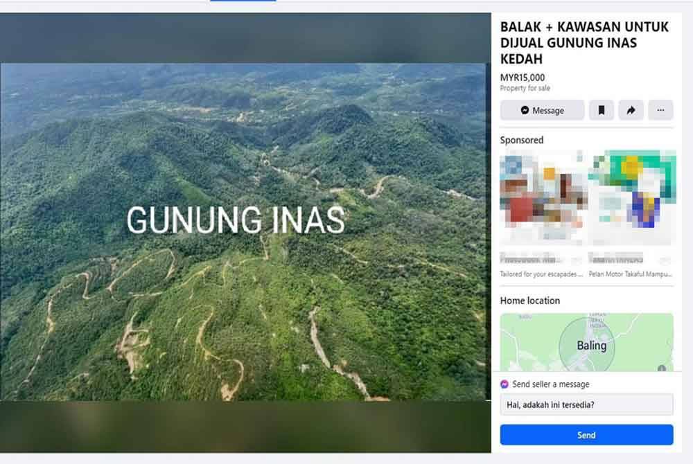 Antara iklan jualan berkaitan balak Gunung Inas di platform Facebook.