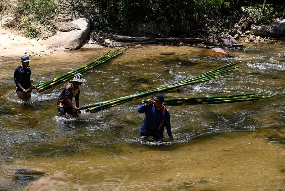 Orang Asli dari suku kaum Temiar (dari kanan) Jaminan, 36, Baharuddin Osman, 25, dan Arman Atan, 27, meredah sungai ketika membawa buluh lemang yang sudah ditebang sewaktu melakukan kerja-kerja mencari buluh bagi memenuhi tempahan musim perayaan Aidilfitri. Foto Bernama