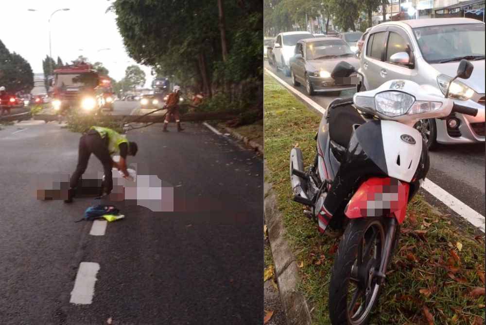 Seorang lelaki warga emas maut selepas motosikal yang ditunggangnya melanggar sebatang pokok tumbang di Jalan Persiaran Senawang 1 berhadapan Petron Taman Sri Mawar, di Senawang, pagi Rabu. Mangsa menunggang motosikal jenis Modenas Kriss secara sendirian dari arah Taman Marida ke arah Seremban 2 sebelum melanggar sebatang pokok tumbang yang melintang di laluannya.