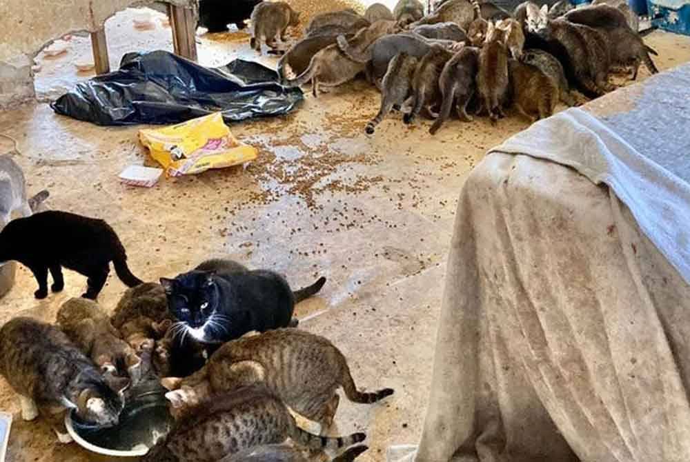 Pasangan Perancis tersebut turut dilarang secara kekal memelihara kucing dan anjing. Foto Agensi