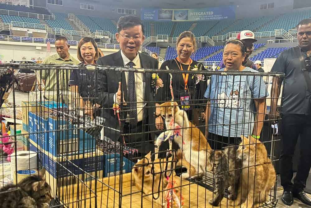 Kon Yeow (tengah) meninjau kucing yang dipamerkan di PIC Fiesta 2024 pada Sabtu.