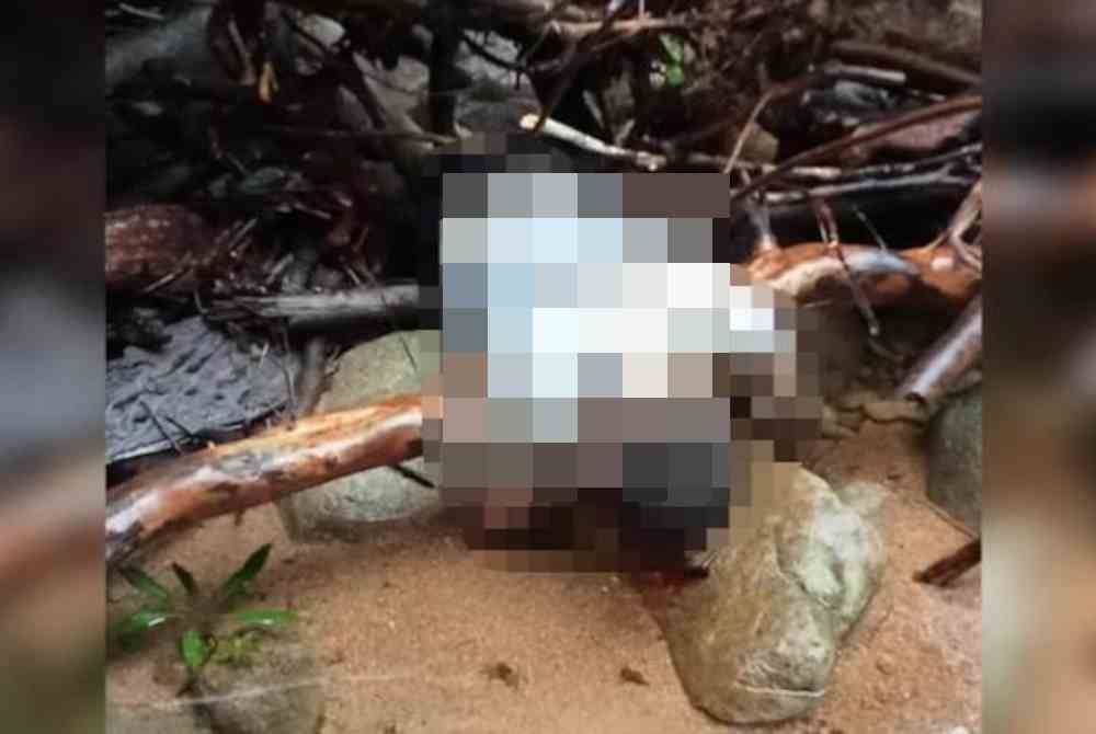 Mayat mangsa ditemui tersangkut di celah-celah batu di kawasan air terjun tersebut oleh penduduk kampung. Foto JBPM Sarawak