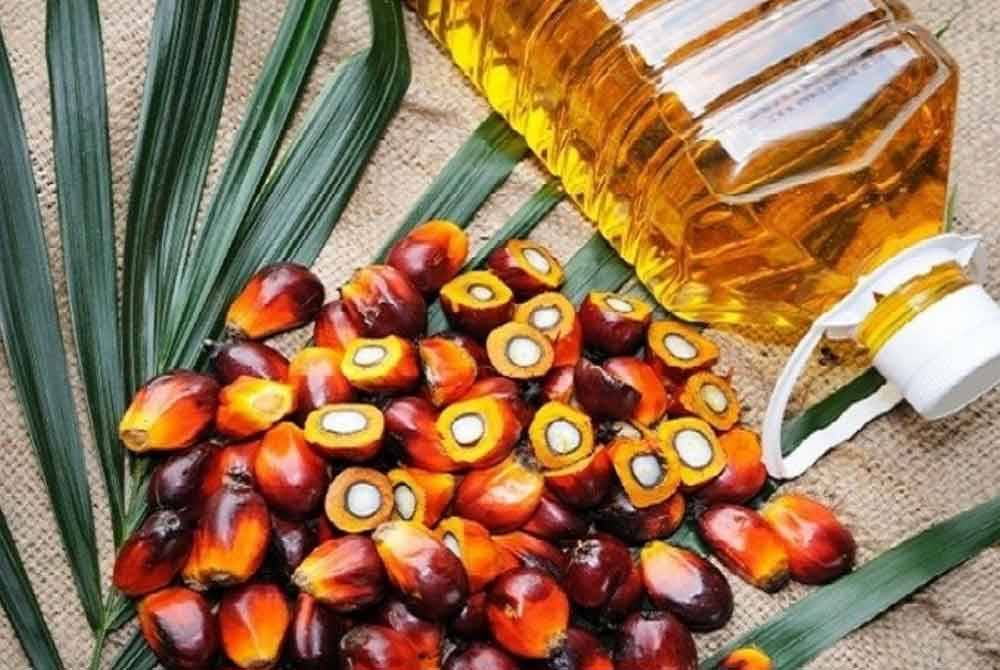 Stok minyak sawit Malaysia menyusut sebanyak 10.68 peratus kepada 1.71 juta tan pada Mac 2024 daripada 1.92 juta tan pada Februari 2024. Foto hiasan