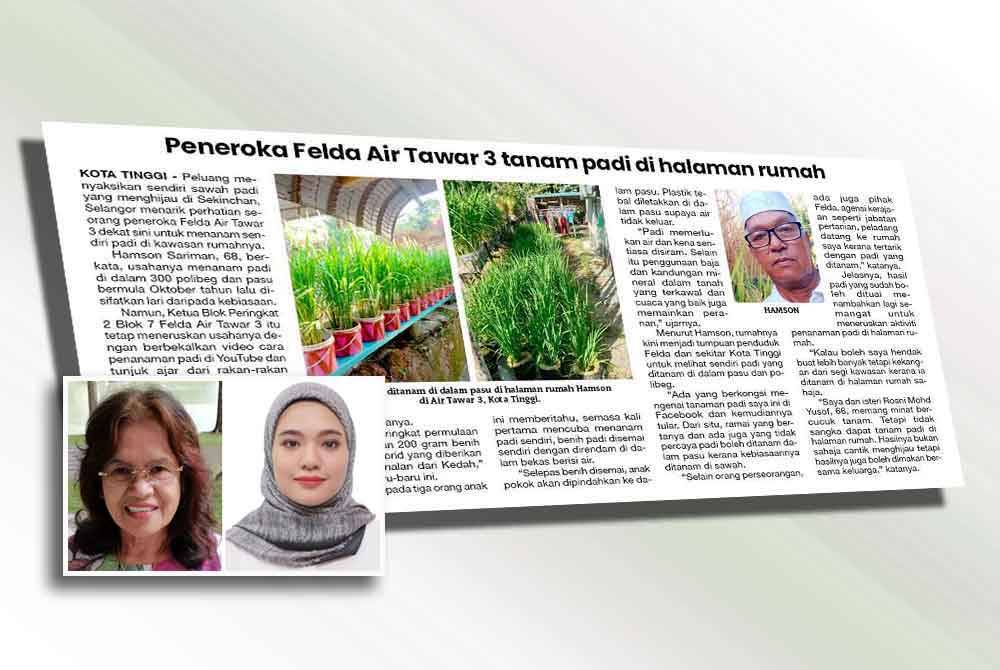 Sinar Harian pada 13 April lalu melaporkan usaha seorang peneroka Felda yang menanam padi di halaman rumah. Gambar kecil: Fatimah dan Nur Ameera