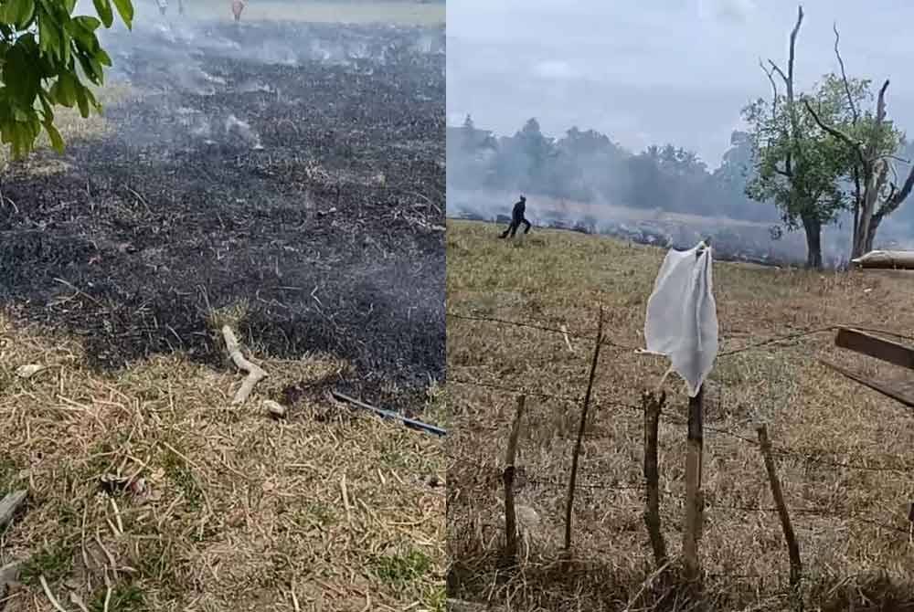 Kawasan padang yang berumput kering mengakibatkan api merebak dengan cepat.