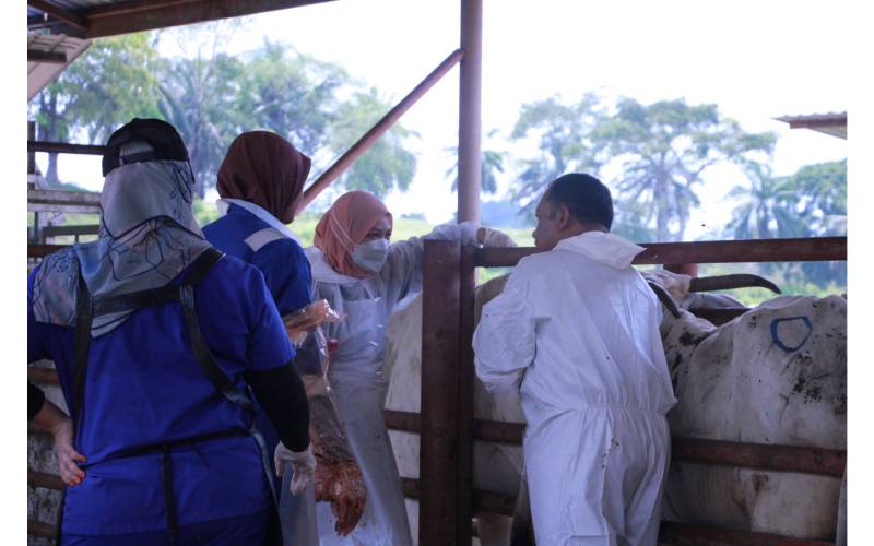 Bidang veterinar menjadi elemen penting dalam memastikan jaminan makanan berasaskan ternakan selamat untuk keperluan masyarakat global. 