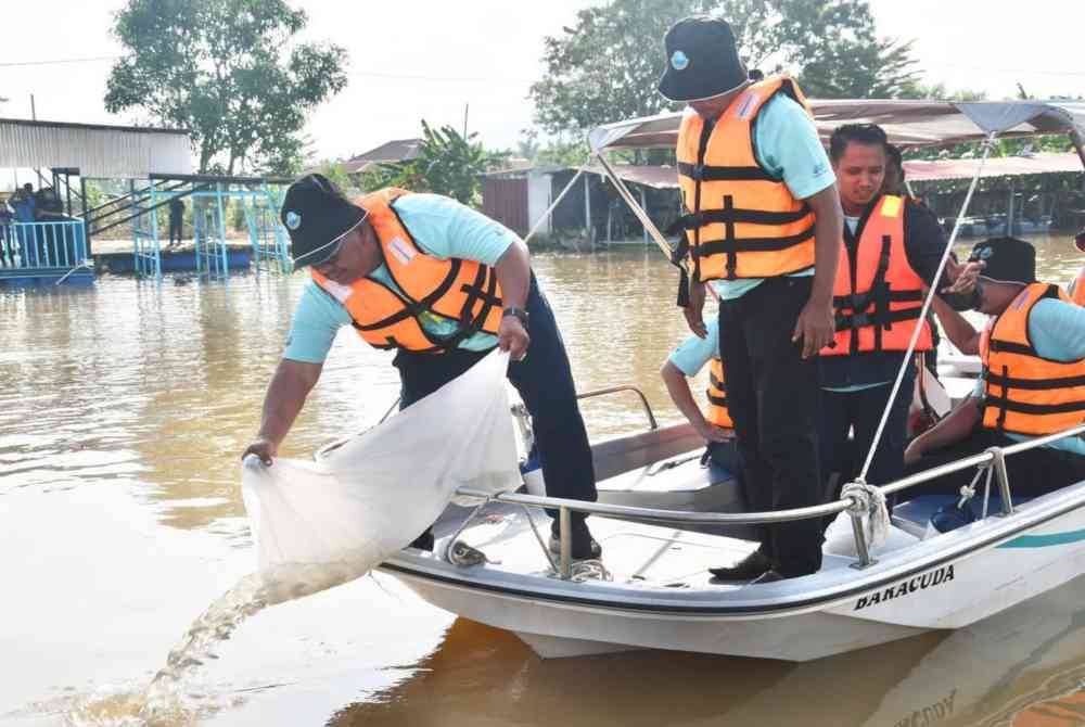 Sanusi melepaskan benih ikan di Sungai Kerian sebagai gimik pelancaran dalam memastikan pemuliharaan sungai dan ekologi terjamin.