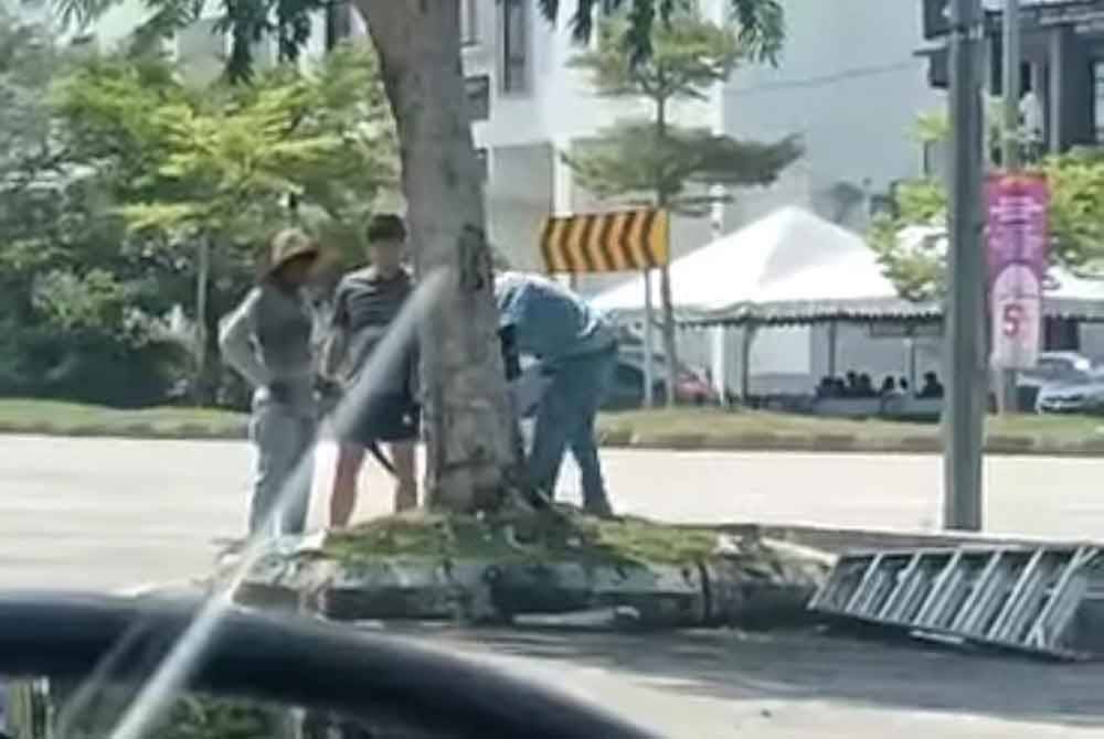 Tangkap layar rakaman video tindakan beberapa individu yang sedang menebang pokok milik MBK di Jalan Indera Mahkota, pada Ahad.