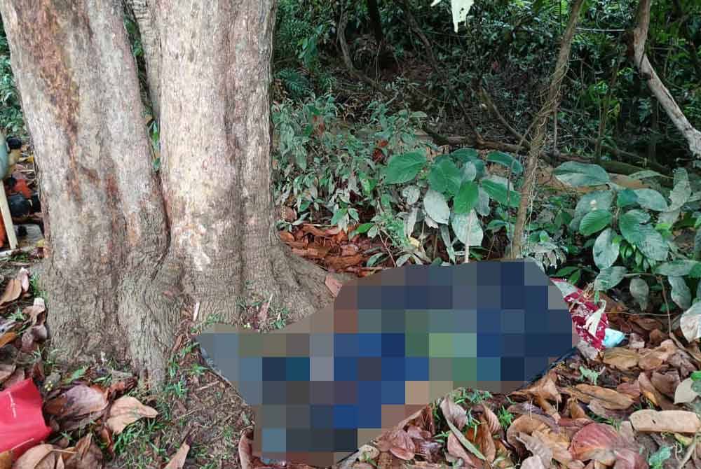 Mayat mangsa ditemui terbaring di bawah pokok selepas terkena petir dalam kejadian di ladang sawit Blok 19 lot individu Felda Jengka 14 di sini pada Rabu.