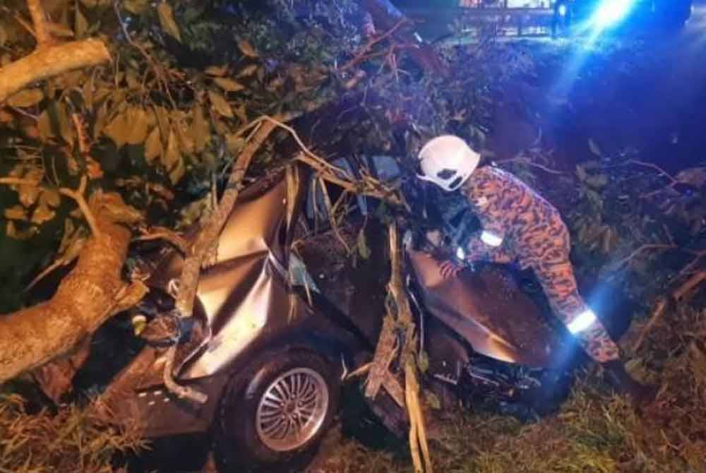 Seorang lelaki mengalami kecederaan parah setelah kereta yang dinaiki dipercayai terbabas dan melanggar sebatang pokok di Jalan Ayer Tawar- Ipoh, Batu 19, di sini, malam Khamis. Gambar JBPM Perak