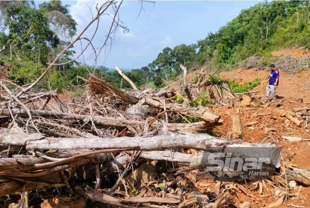 Keadaan dusun yang didakwa diceroboh pihak tidak bertanggungjawab.