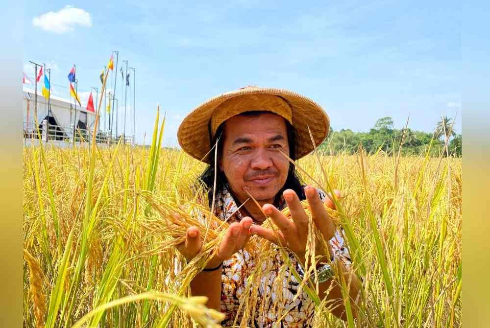 Mohd Yusri mengusahakan tanaman padi yang bergantung kepada air semata-mata tanpa penggunaan baja dan racun di tepi rumahnya di Kampung Lubok Jambu, Mulong di Kota Bharu.